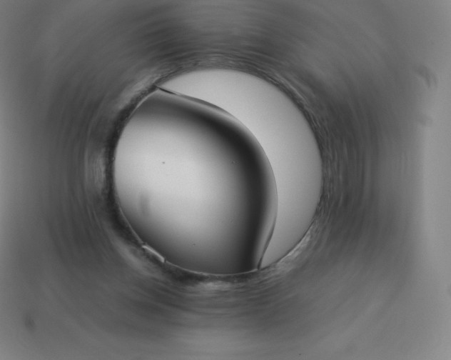 X0000113910158200910081857