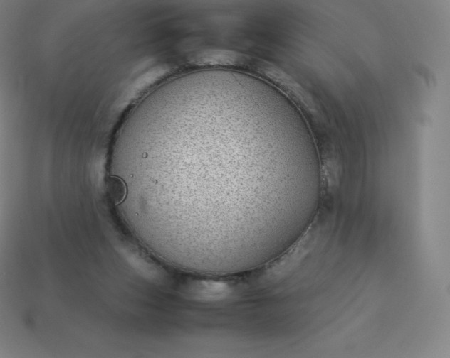 X0000113910159200910081857