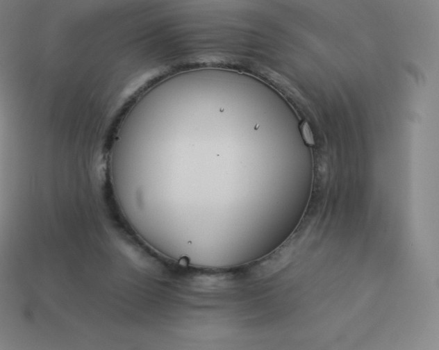 X0000113910160200910081857