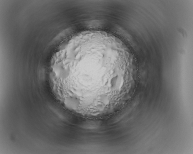 X0000113910161200910081857