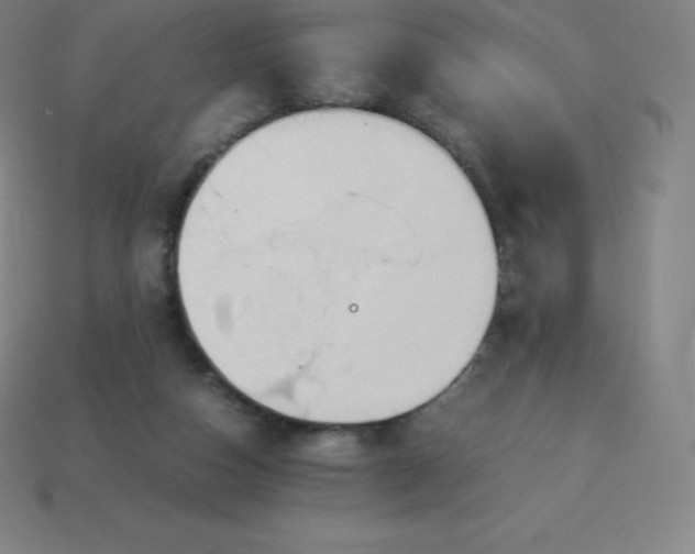 X0000113910162200910081857