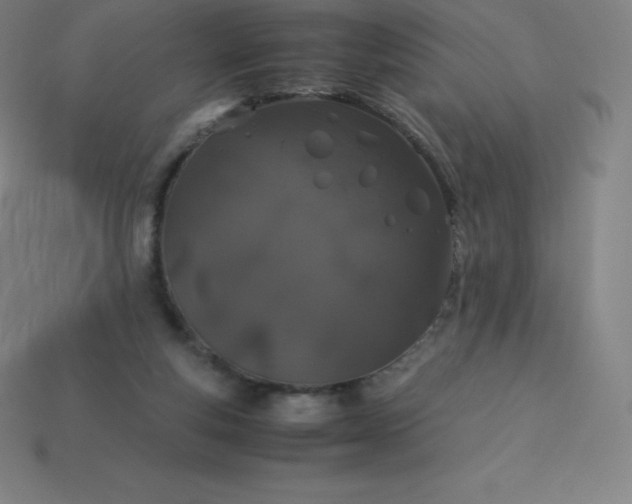 X0000113910163200910081857