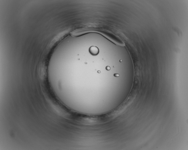 X0000113910164200910081857