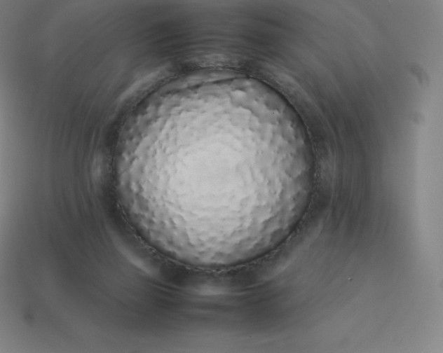 X0000113910165200910081857