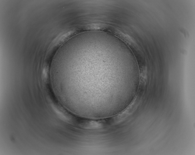 X0000113910166200910081857