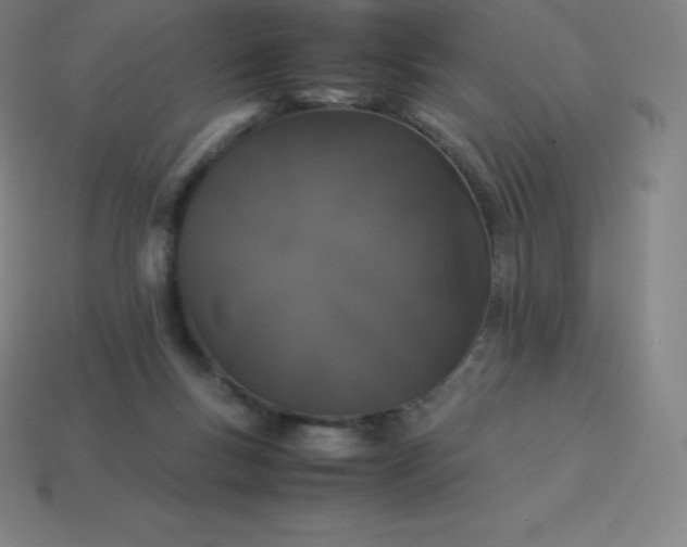 X0000113910167200910081857