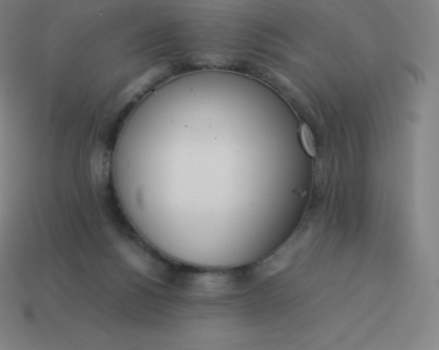 X0000113910168200910081857