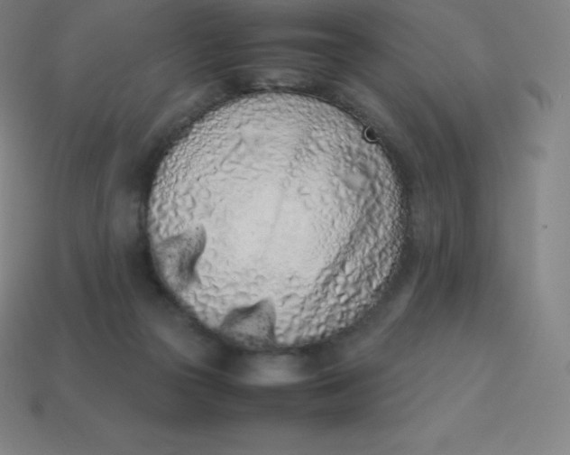 X0000113910169200910081857