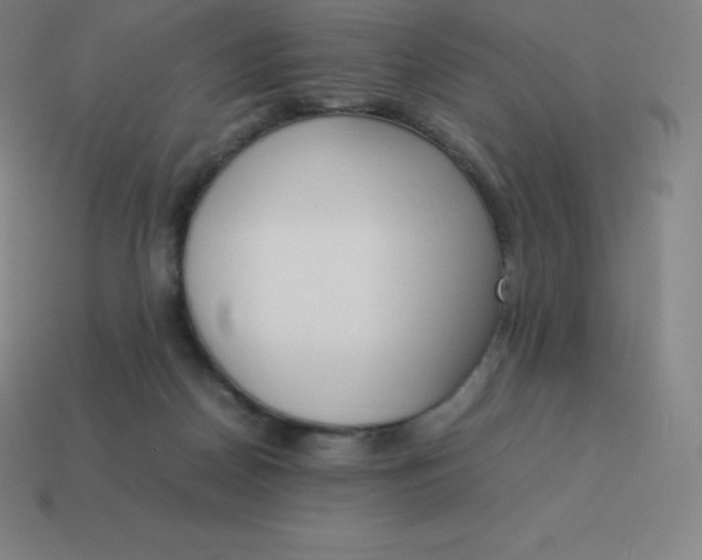 X0000113910170200910081857