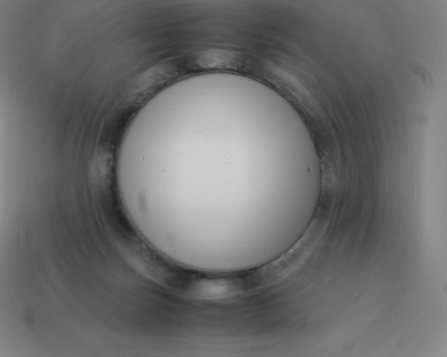 X0000113910171200910081857