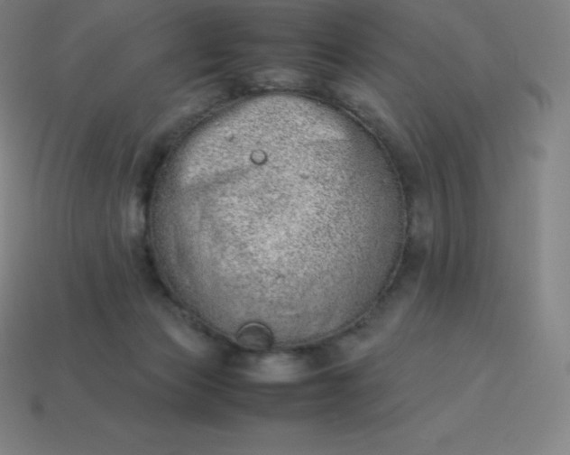 X0000113910173200910081857