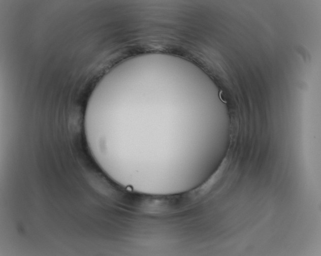 X0000113910174200910081857