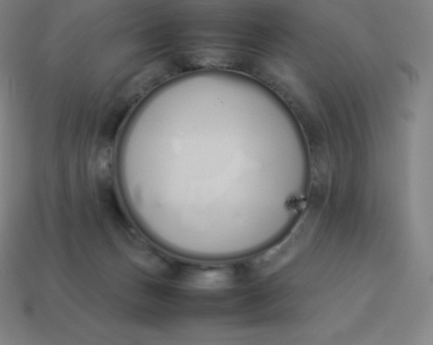 X0000113910175200910081857