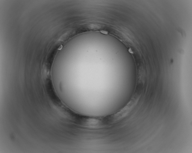 X0000113910176200910081857