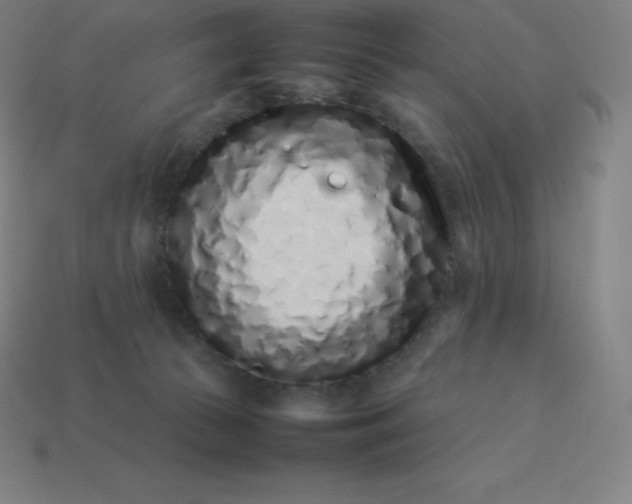 X0000113910177200910081857