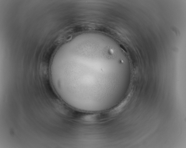 X0000113910178200910081857