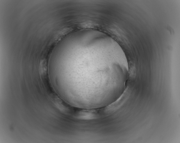 X0000113910179200910081857