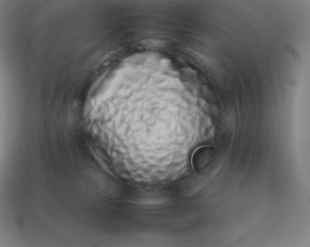 X0000113910181200910081857