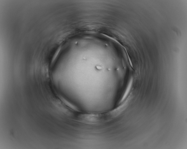 X0000113910182200910081857