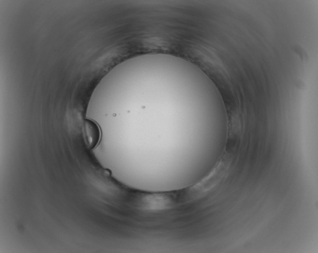 X0000113910183200910081857