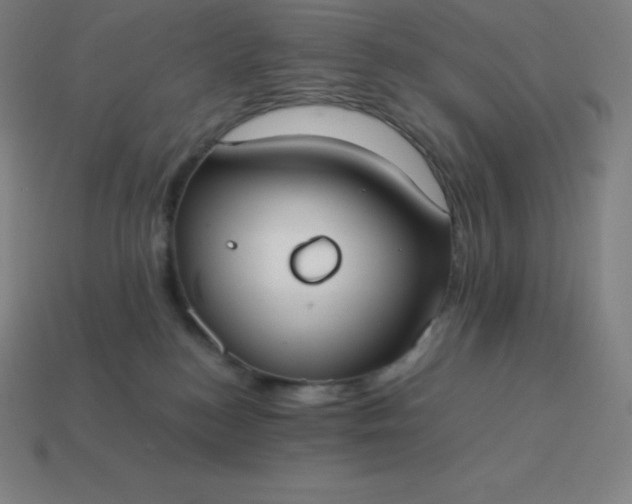 X0000113910184200910081857