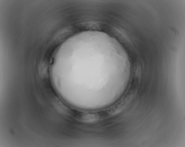 X0000113910185200910081857