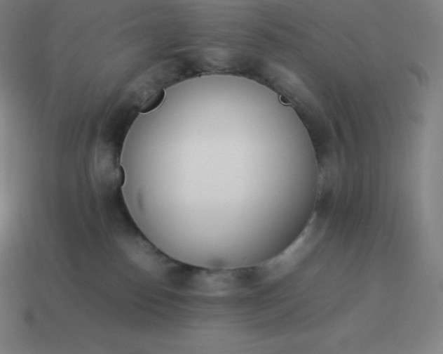 X0000113910186200910081857