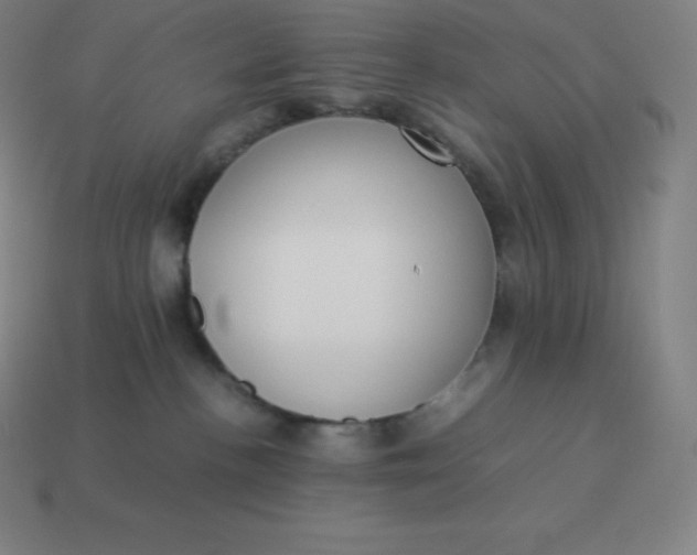 X0000113910188200910081857