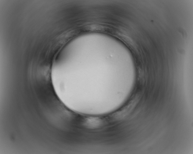 X0000113910189200910081857