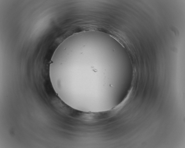 X0000113910190200910081858