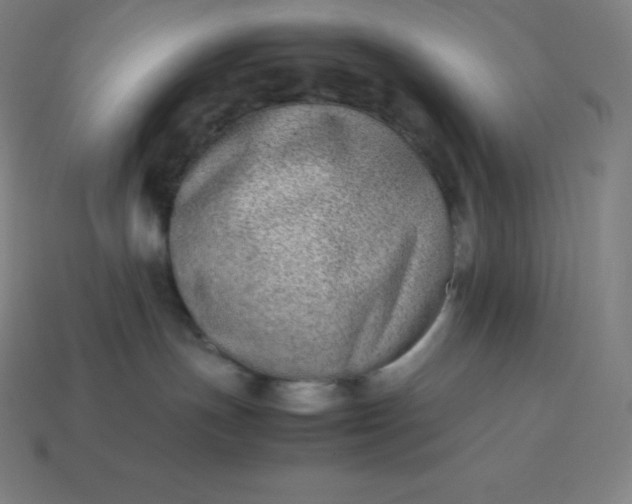 X0000113910191200910081858