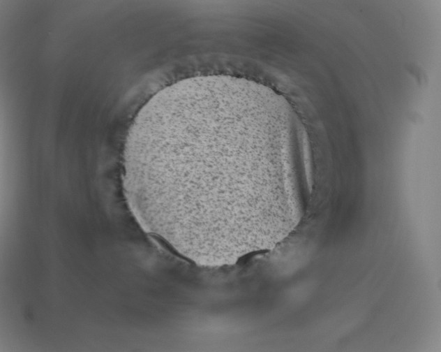 X0000113910192200910081858