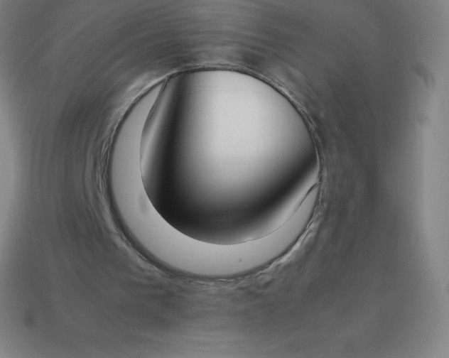 X0000113910193200910081857