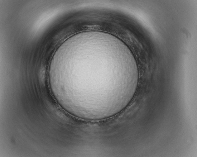 X0000113910194200910081857