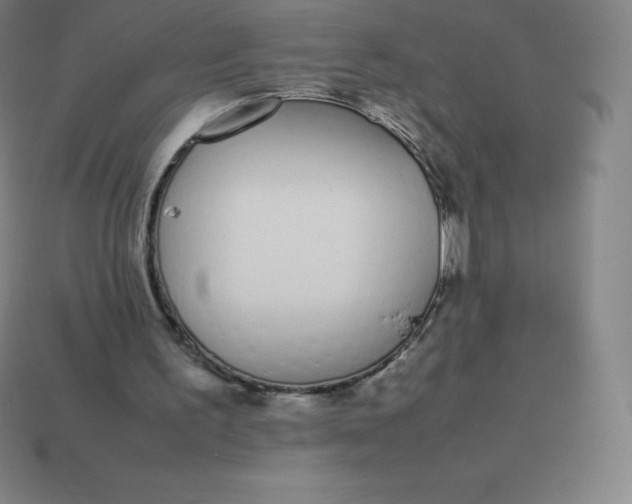 X0000113910195200910081857