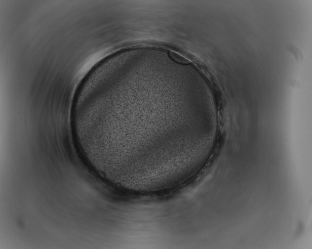 X0000113910196200910081857