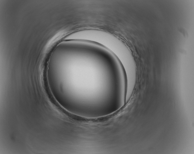 X0000113910197200910081857