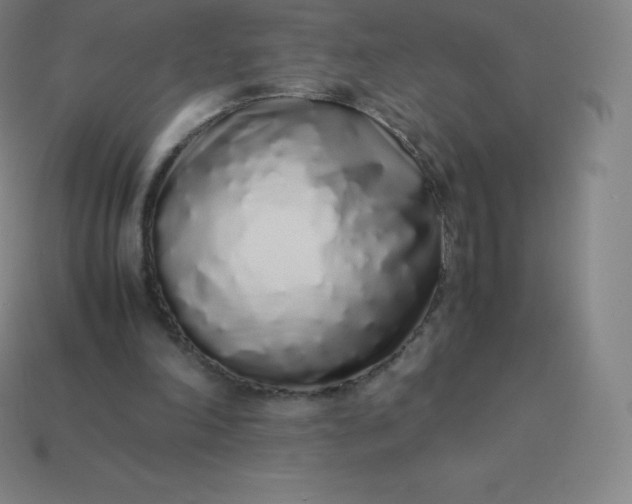 X0000113910198200910081857