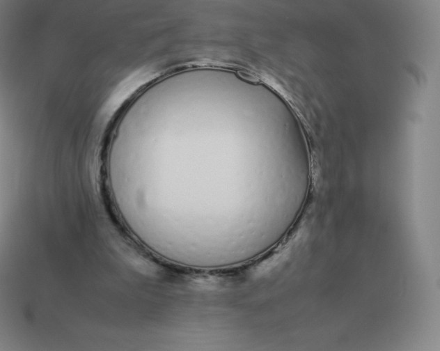 X0000113910199200910081857