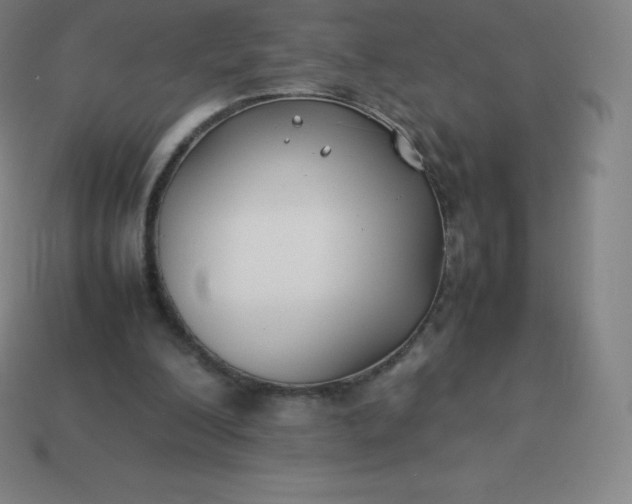 X0000113910200200910081857