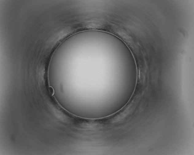 X0000113910201200910081857