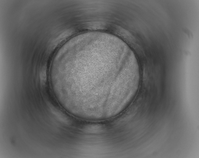 X0000113910202200910081857