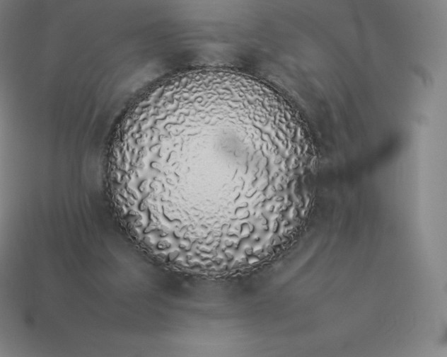 X0000113910203200910081857