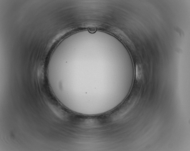 X0000113910204200910081857