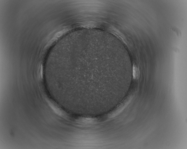 X0000113910205200910081857