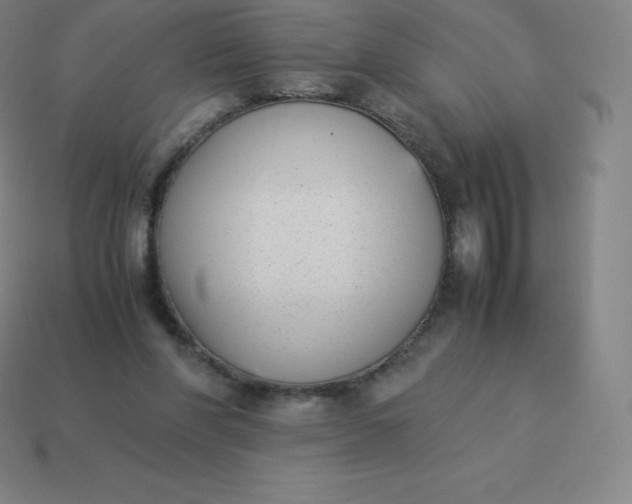 X0000113910206200910081857