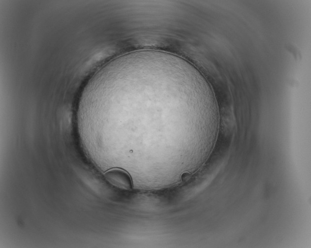 X0000113910207200910081857