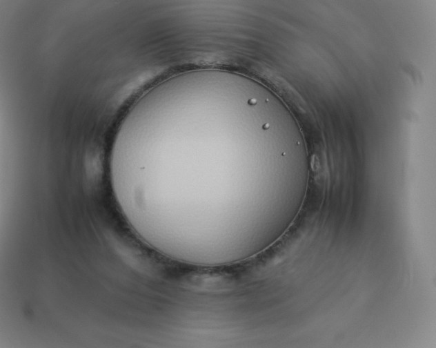 X0000113910208200910081857