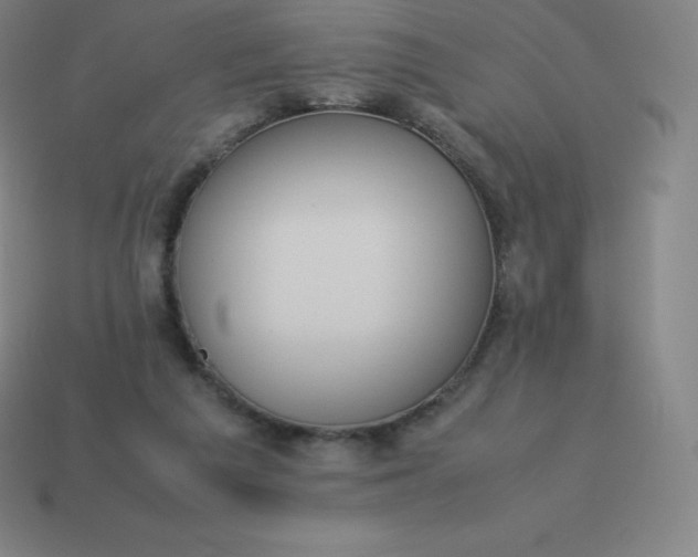 X0000113910209200910081857