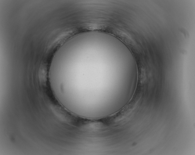 X0000113910210200910081857